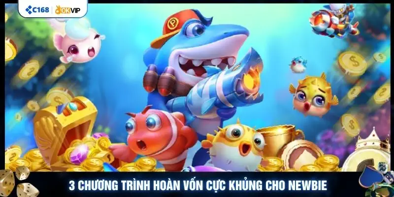 3 chương trình hoàn vốn cực khủng cho newbie