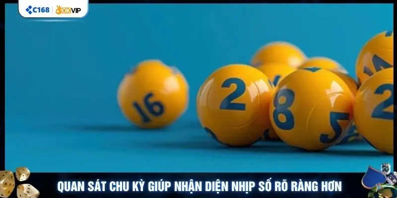 Quan sát chu kỳ giúp nhận diện nhịp số rõ ràng hơn